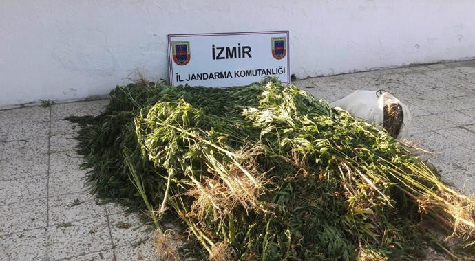 Tire'de uyuşturucu operasyonu